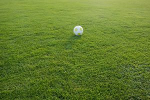 Palermo calcio