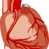 Misurazione pressione arteriosa