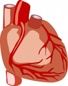 Misurazione pressione arteriosa