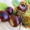 Castagne al microonde