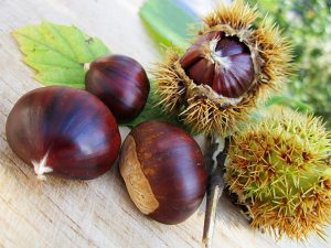 Castagne al microonde