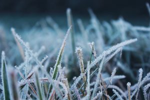 Allerta meteo Liguria